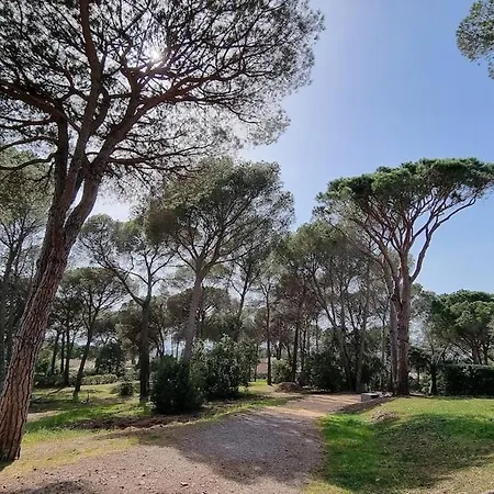 Chez K&d By Antoine Appartement